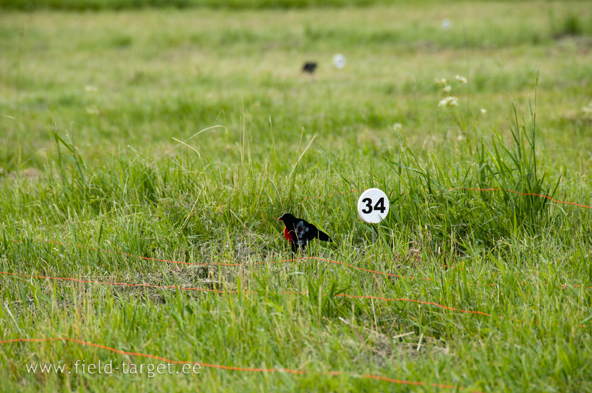 15 mm kill zone at 15 meters